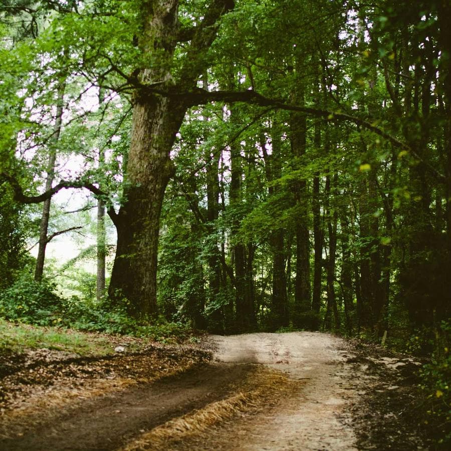 Hidden gem, tell no one #weekendvibes